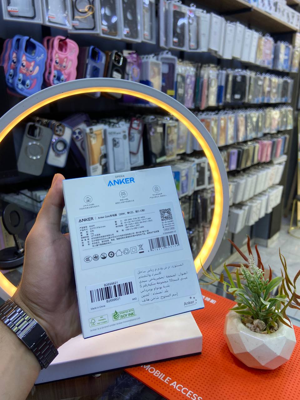 Anker Zolo 20W USB-C to USB-C Charger B2699621